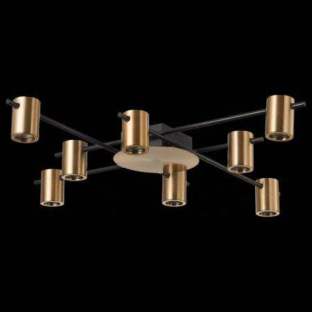 Фото Потолочная люстра ST-Luce Veroli SL1207.402.08