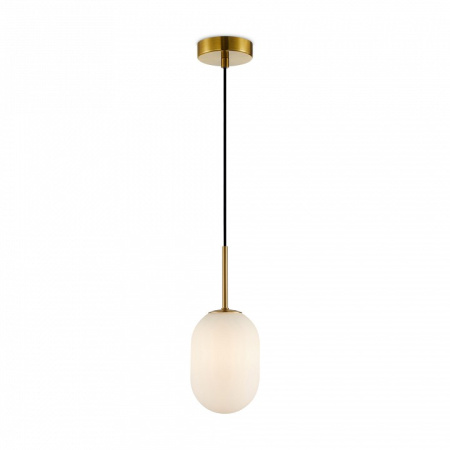 Фото Подвесной светильник Freya Sharlot FR1012PL-01BS