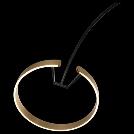 Открыть Торшер Loft it Ring 10027 Фото Торшер Loft it Ring 10027