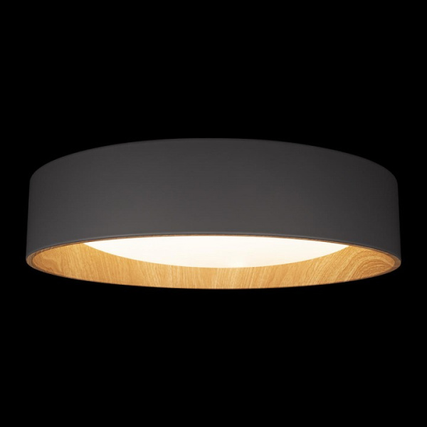 Фото Накладной светильник Loft it Coin 10202 Grey