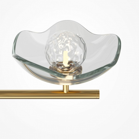 Фото Люстра на штанге Maytoni Miracle MOD207PL-05BS