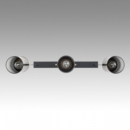 Фото Подвесной светильник Lumion Isha 8101/3A