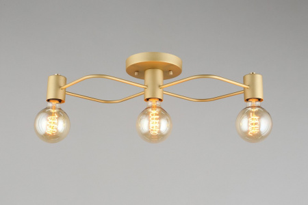 Фото Потолочная люстра Aployt Elison APL.911.07.03