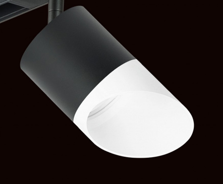 Фото Светильник на штанге Lightstar Rullo PRO348786