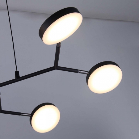 Фото Подвесная люстра Favourite Vorago 4632-6P