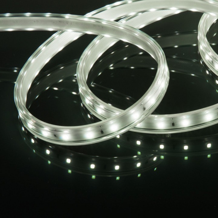 Фото Лента светодиодная Elektrostandard LS014 220V a053638