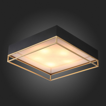 Фото Накладной светильник ST-Luce Chodo SL1127.422.05