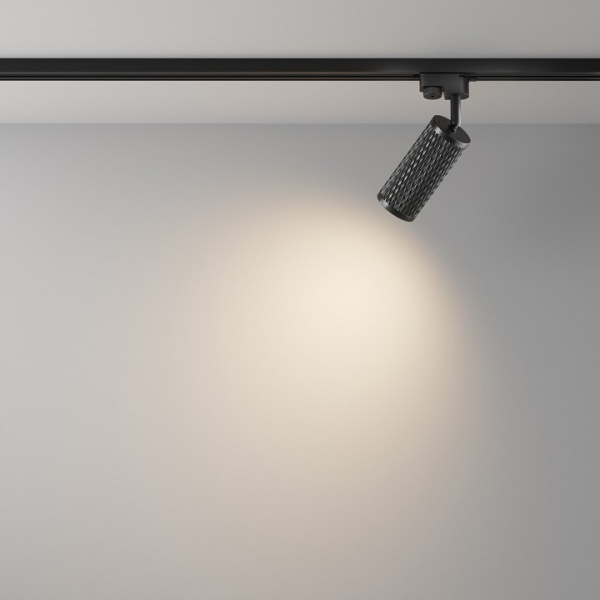 Фото Светильник на штанге Maytoni Focus Design TR011-1-GU10-B