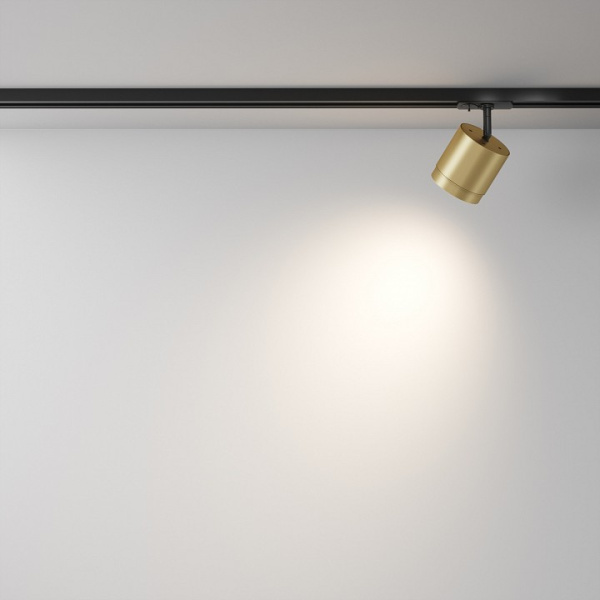 Фото Светильник на штанге Maytoni Polar TR088-1-GX53-MG