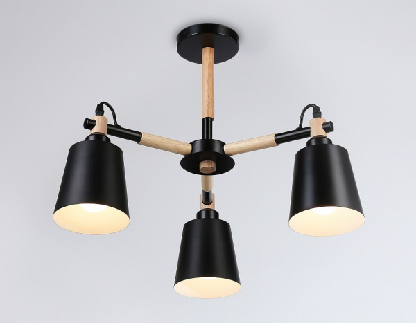 Фото Люстра на штанге Ambrella Light TR TR82206