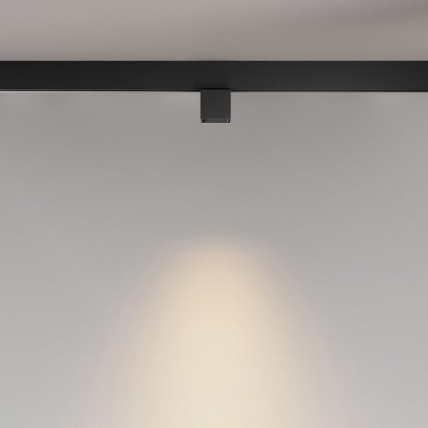 Фото Накладной светильник Maytoni Alfa S TR133-2-7W3K-B