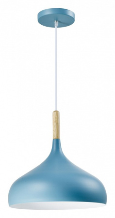 Фото Подвесной светильник Moderli Eline V1295-1P