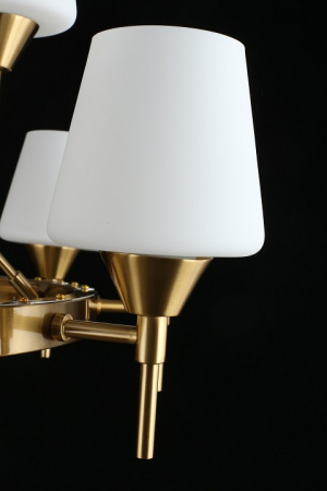 Фото Подвесная люстра Aployt Lyus APL.840.03.15