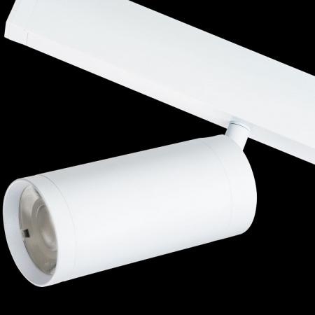 Фото Светильник на штанге Lightstar Teta 205036