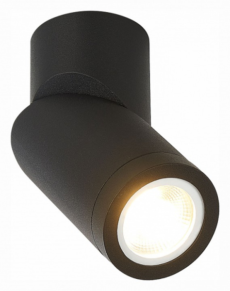 Фото Светильник на штанге ST-Luce ST650 ST650.402.01