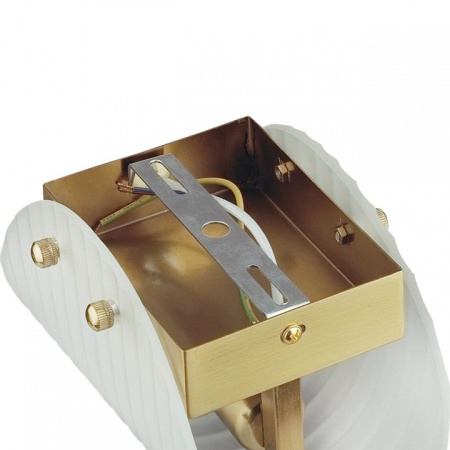 Фото Накладной светильник Lumion Fioro 6571/1W