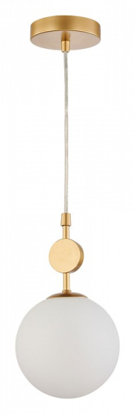 Фото Подвесной светильник Favourite Absolute 2928-1P