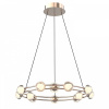 Фото Подвесная люстра Favourite Rondell 4382-12P