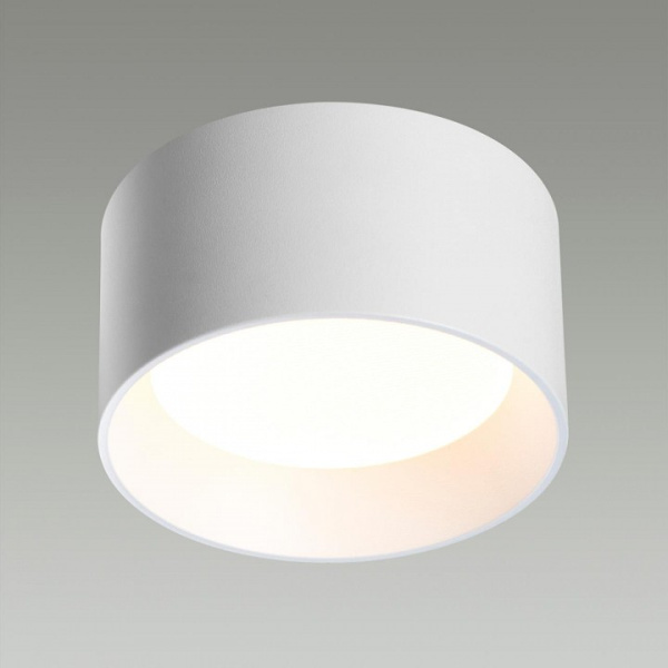 Фото Накладной светильник Odeon Light Oben 6622/10CL