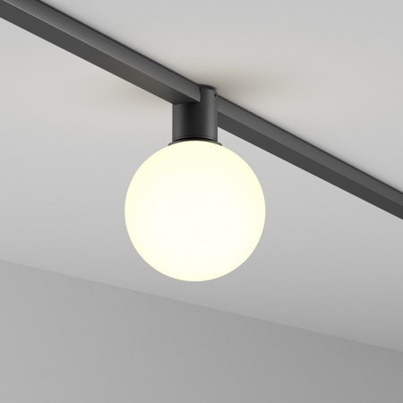 Фото Накладной светильник Maytoni Luna TR171-1-5W3K-WB