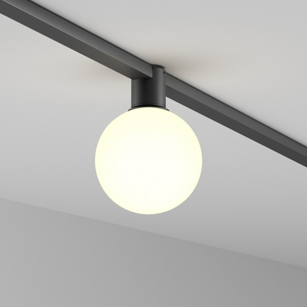 Фото Накладной светильник Maytoni Luna TR171-1-5W3K-WB