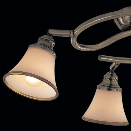 Фото Спот Citilux Прованс CL511143