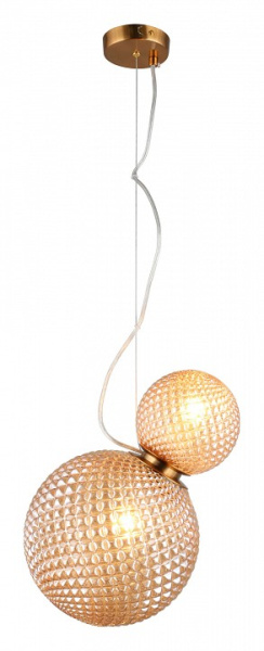 Фото Подвесной светильник Aployt Patunia APL.301.16.02