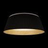 Открыть Накладной светильник Loft it Evans 10224 Black Фото Накладной светильник Loft it Evans 10224 Black