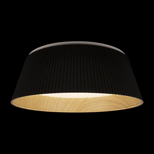Открыть Накладной светильник Loft it Evans 10224 Black Фото Накладной светильник Loft it Evans 10224 Black