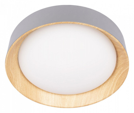 Открыть Накладной светильник Loft it Coin 10202 Grey Фото Накладной светильник Loft it Coin 10202 Grey