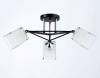 Открыть Люстра на штанге Ambrella Light TR TR303072 Фото Люстра на штанге Ambrella Light TR TR303072