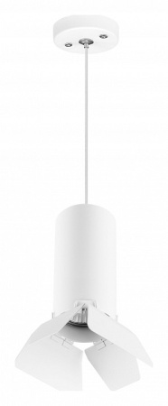 Фото Подвесной светильник Lightstar Rullo RP486436