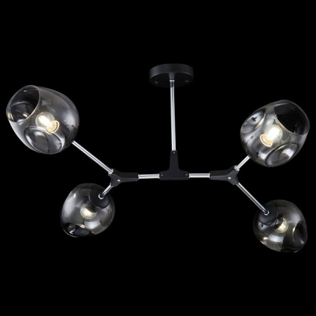 Фото Накладной светильник Freya Desi FR5006CL-04B