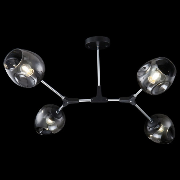 Фото Накладной светильник Freya Desi FR5006CL-04B