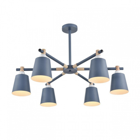 Фото Люстра на штанге Lumion Rosalina 8098/6C