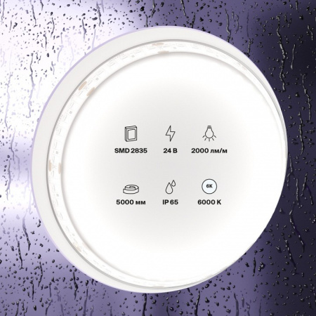 Фото Лента светодиодная Maytoni Led strip 10159