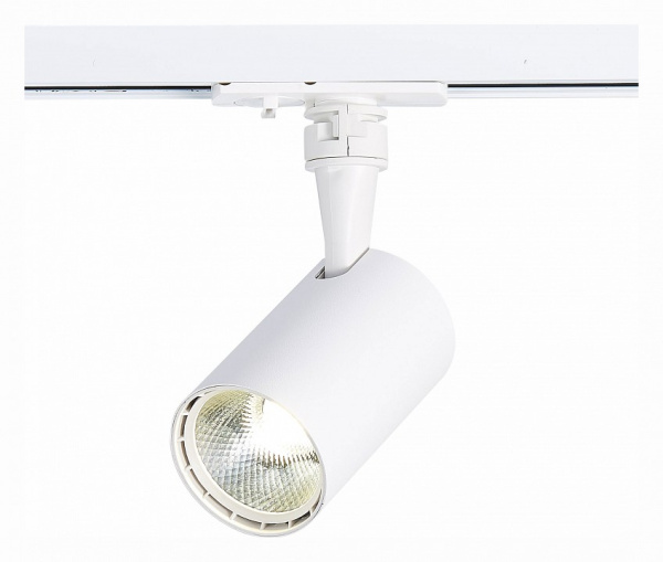 Фото Светильник на штанге ST-Luce Cami ST351.546.10.36