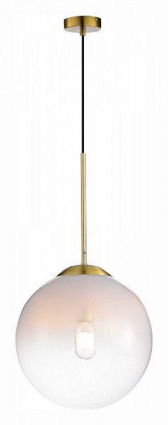 Фото Подвесной светильник ST-Luce Cassius SL1190.213.01