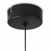 Фото Подвесной светильник Freya Idol FR6134PL-L4SM