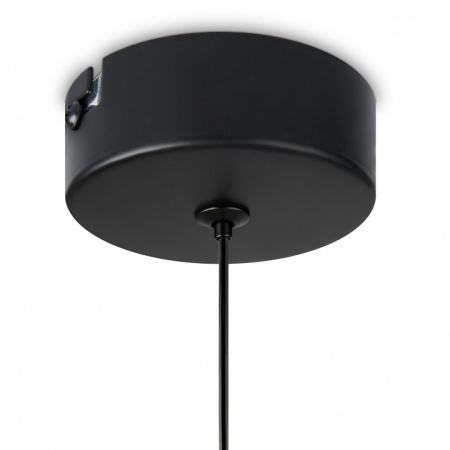 Фото Подвесной светильник Freya Idol FR6134PL-L4SM