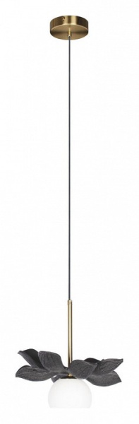 Открыть Подвесной светильник Loft it Monro 10213/B Black Фото Подвесной светильник Loft it Monro 10213/B Black