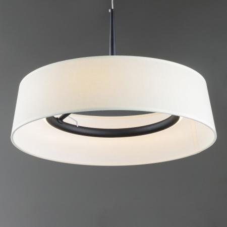 Фото Подвесной светильник Freya Vabi FR6132PL-L15B