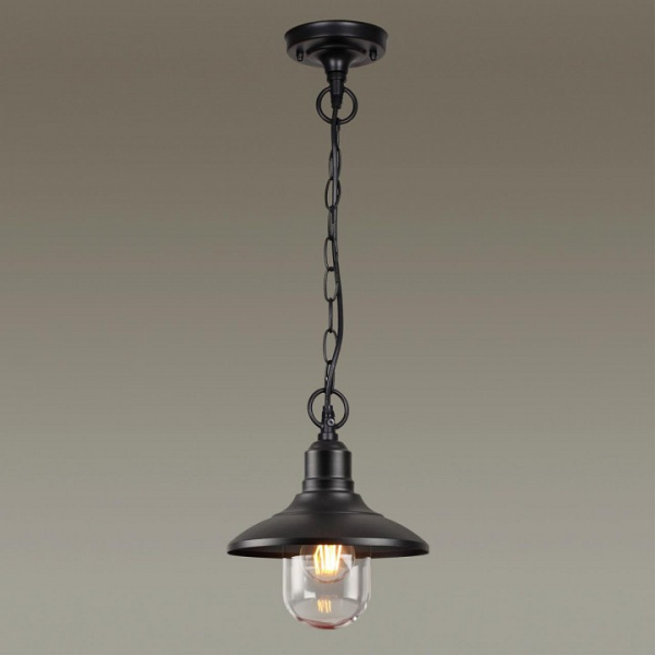 Фото Подвесной светильник Odeon Light Campa 4965/1