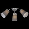 Открыть Потолочная люстра EVOLUCE Maleonte SLE103002-03 Фото Потолочная люстра EVOLUCE Maleonte SLE103002-03