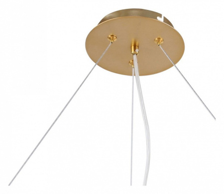 Фото Подвесная люстра F-promo Bliss 2771-12P