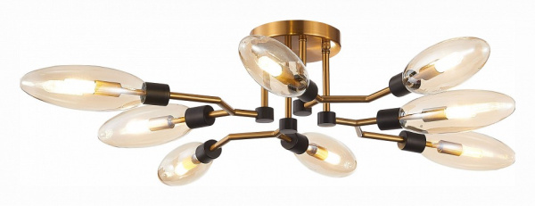 Фото Потолочная люстра ST-Luce Desima SL1174.302.08