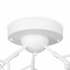 Фото Потолочная люстра Freya Florencia FR5049CL-27W2