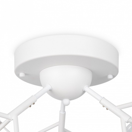 Фото Потолочная люстра Freya Florencia FR5049CL-27W2