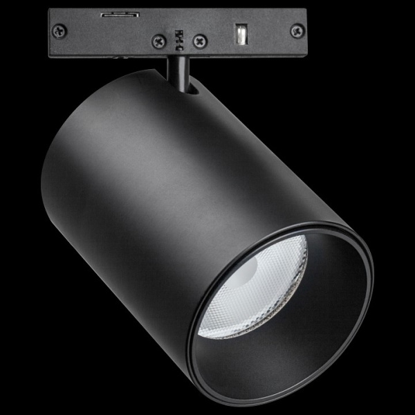 Фото Светильник на штанге Lightstar Linea 206337