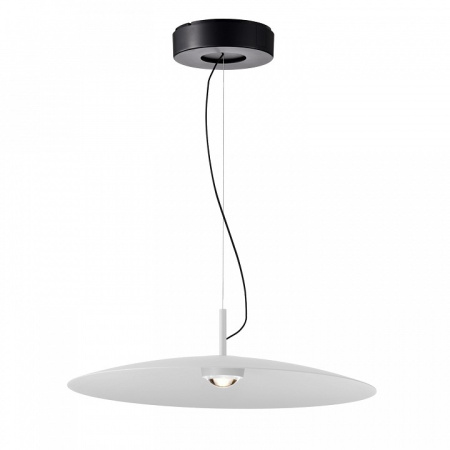 Фото Подвесной светильник Favourite Lars 4410-2P